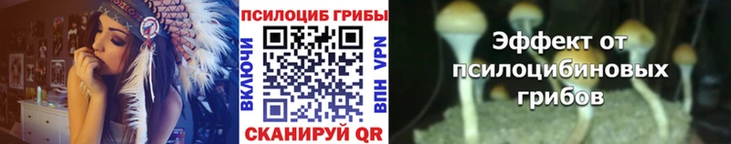 где можно купить наркотик  Камышин  Псилоцибиновые грибы ЛСД 